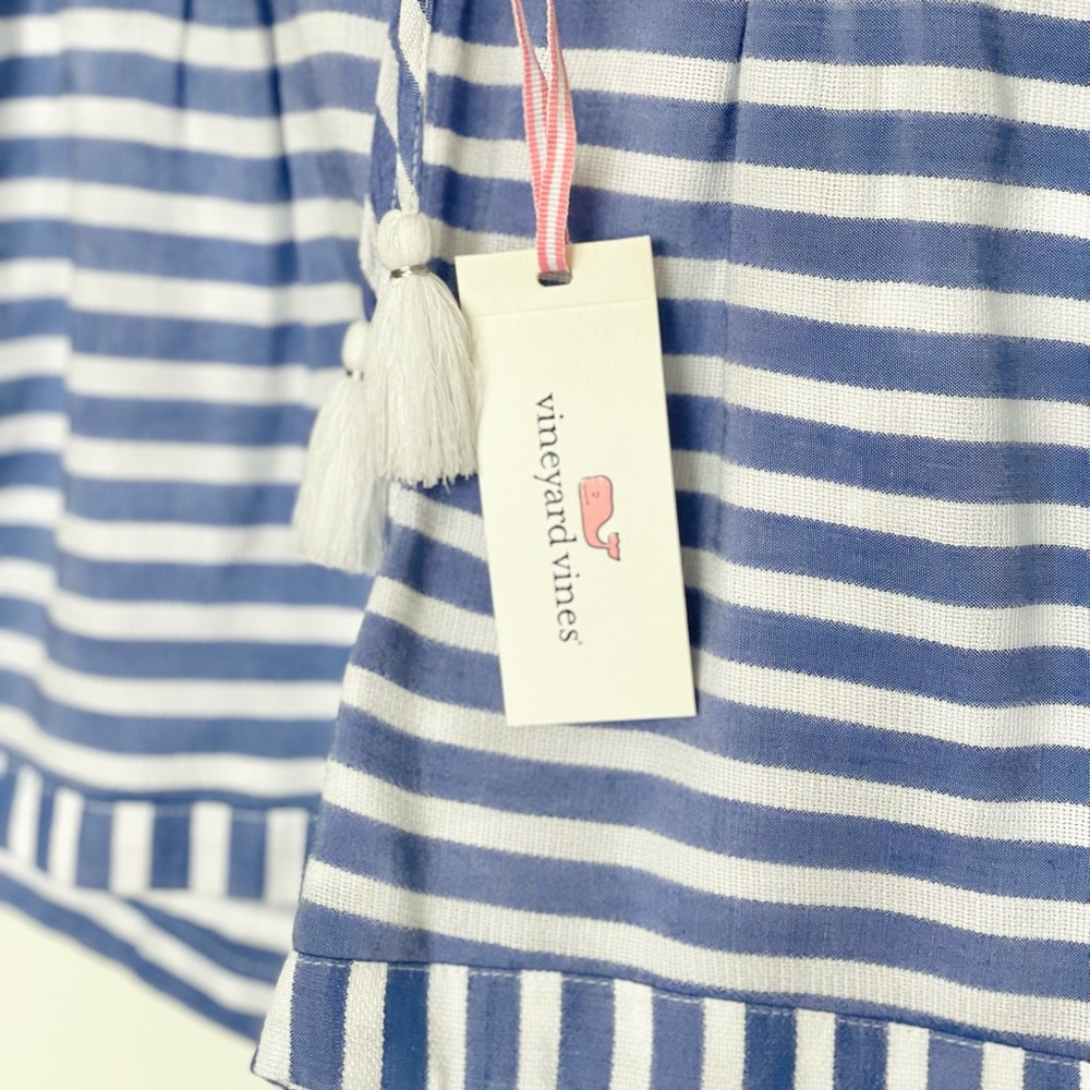 Vineyard Vines Blue and White Striped Shorts - Picture 2 of 7